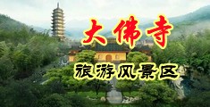 樱花tv看片中国浙江-新昌大佛寺旅游风景区
